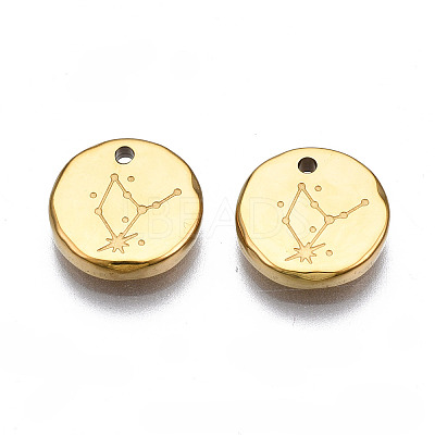 316 Surgical Stainless Steel Charms STAS-S116-418D-G-1