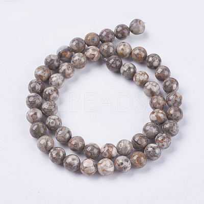 Natural Maifanite/Maifan Stone Beads Strands X-G-I187-6mm-01-1