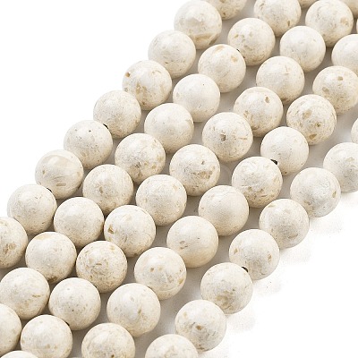 Natural Fossil Beads Strands G-H026-02D-1