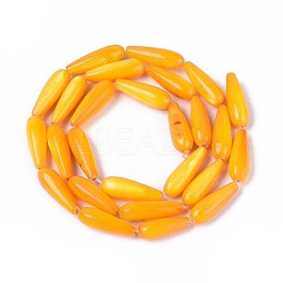 Natural Freshwater Shell Beads Strands SHEL-A004-03D-1