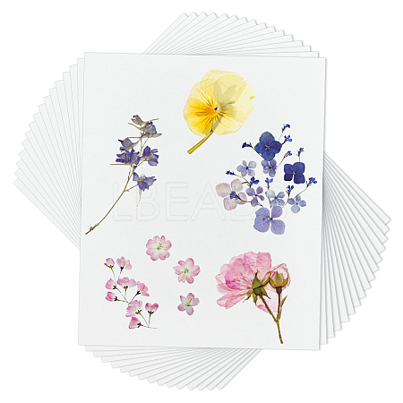 Dried Embossed Paper DIY-WH0622-646B-1