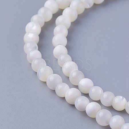 Natural Shell Beads Strands X-SSHEL-E571-39-4mm-1