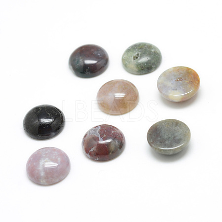 Natural Indian Agate Gemstone Cabochons G-T020-12mm-23-1