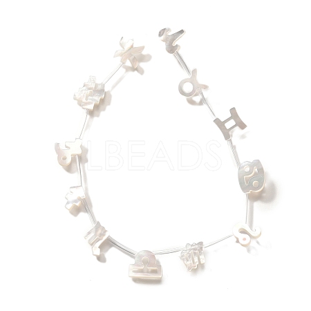 12Pcs 12 Styles Natural White Shell Beads BSHE-Z008-12-1