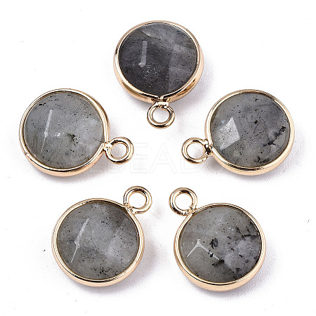 Natural Labradorite Pendants X-G-T131-101A-1