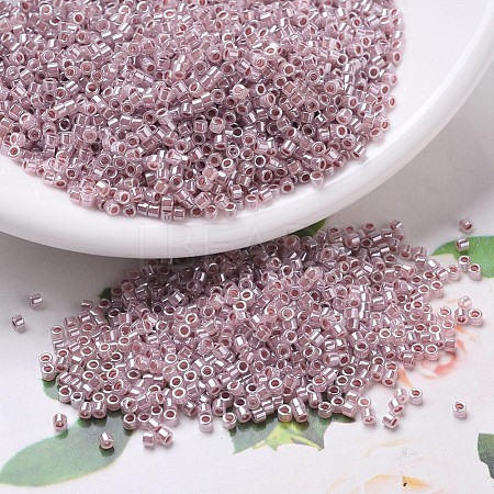 MIYUKI Delica Beads X-SEED-J020-DB0256-1