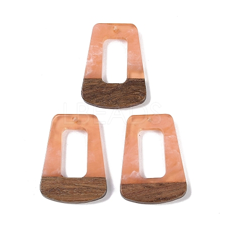 Resin & Wood Pendants LS-WOOD-F015-11B-1