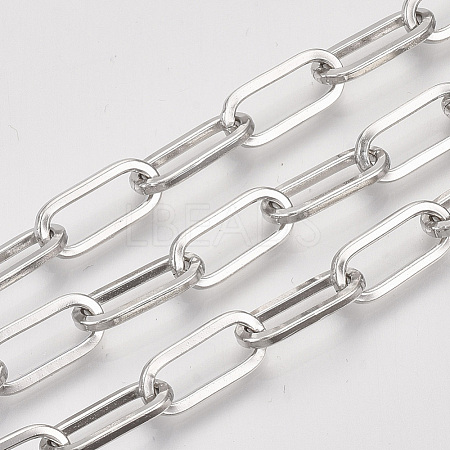 Unwelded Iron Paperclip Chains CH-S125-02C-P-1