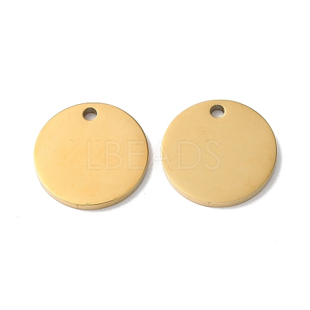 304 Stainless Steel Charms STAS-Q308-09I-G-1