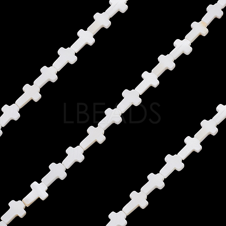 3 Strands Natural Sea Shell Beads Strands SSHEL-ME0001-08-1