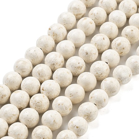 Natural Fossil Beads Strands G-H026-02D-1