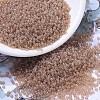 MIYUKI Round Rocailles Beads X-SEED-G007-RR2371-1