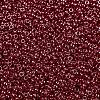 MIYUKI Round Rocailles Beads X-SEED-G009-RR0425-3