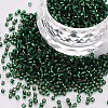 Glass Cylinder Beads SEED-S047-R-012-1