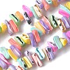 Dyed Natural Trochus Shell Beads Strands X-SSHEL-C013-09G-1