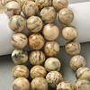 Natural Feldspar Beads Strands G-F818-A06-16mm-02-1
