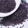 MIYUKI Delica Beads X-SEED-J020-DB0455-1