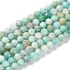 Natural Amazonite Beads Strands G-G139-A15-03-1