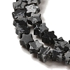 Natural Snowflake Obsidian Beads Strands G-G085-B37-01-3