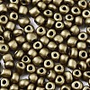6/0 Glass Seed Beads SEED-S058-A-F216-3