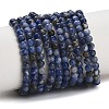 Natural South Africa Sodalite Beads Strands G-S259-35-4mm-2