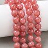 Dyed Natural Malaysia Jade Beads Strands G-G021-02C-22-5
