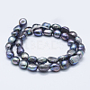 Natural Cultured Freshwater Pearl Beads Strands PEAR-K004-02B-2