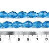 Transparent Glass Beads Strands EGLA-N013-T10mm-D17-4