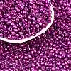 6/0 Glass Seed Beads E06900B4-2