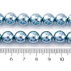 Shell Pearl Beads Strands BSHE-K015-10mm-02-2
