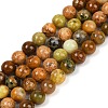 Natural Green Opal Beads Strands G-K245-A17-A04-1