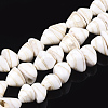 Spiral Shell Beads Strands SHEL-T011-05-1