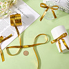 Sparkle Nylon Ribbon OCOR-GF0004-48D-07-3