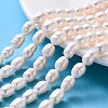 Natural Cultured Freshwater Pearl Beads Strands X-PEAR-I003-05-1