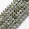 Natural Labradorite Beads Strands G-P322-29-6mm-1
