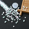 6/0 Opaque Glass Seed Beads SEED-YW0002-13P-6