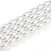 Baking Paint Pearlized Glass Pearl Bead Strands HY-T002-01A-01-3