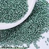 MIYUKI Delica Beads X-SEED-J020-DB0432-1