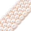 Natural Cultured Freshwater Pearl Beads Strands PEAR-I007-01E-04A-2