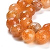 Natural Agate Beads Strands G-L595-A01-01B-4