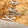 Preciosa&reg MAXIMA Crystal Round Stones X-PRC-RASS29-50730-5