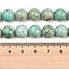 Natural Peruvian Turquoise(Jasper) Beads Strands G-F836-A02-10mm-5