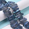 Natural Quartz Crystal Points Beads Strands G-K181-B17-4