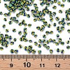 12/0 Glass Seed Beads SEED-S005-11-4