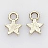 Tibetan Style Alloy Charms LF0790Y-NF-1