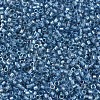 MIYUKI Delica Beads SEED-JP0008-DB1762-3