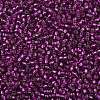 TOHO 8/0 Round Beads SEED-TR08-2223-2