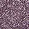 TOHO 11/0 Round Beads SEED-JPTR11-0166-2