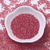 MIYUKI Delica Beads SEED-MY11-DB0172-2