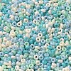 Baking Paint Glass Seed Beads SEED-P006-03A-17-3